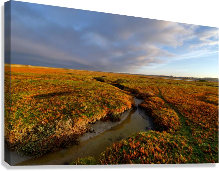 Saltmarsh Canvas Print