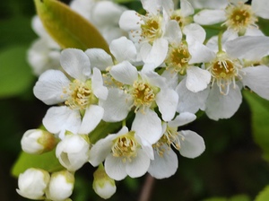 .trashed 1716415067 IMG 20240421 173051