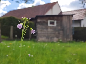 .trashed 1717284546 IMG 20240418 160050