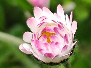 IMG 20240411 191733 2