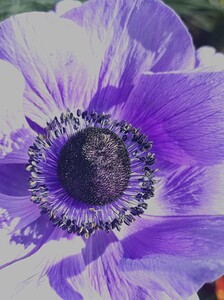 IMG 20240412 163843 2