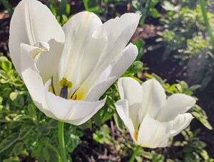 IMG 20240412 164748 2