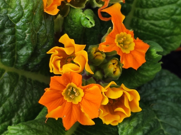 IMG 20240410 122004 Print