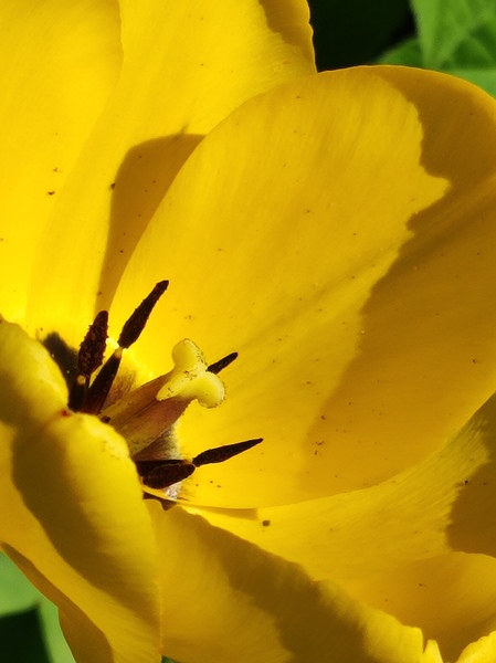 IMG 20240411 145209 Print