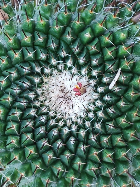 IMG 20240513 160259 Print