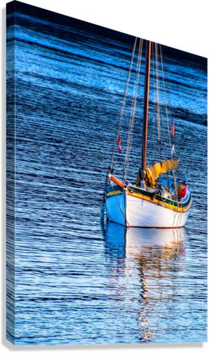 Peace Canvas Print
