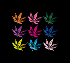 Cannabis Colors