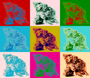 Budz Pop Art