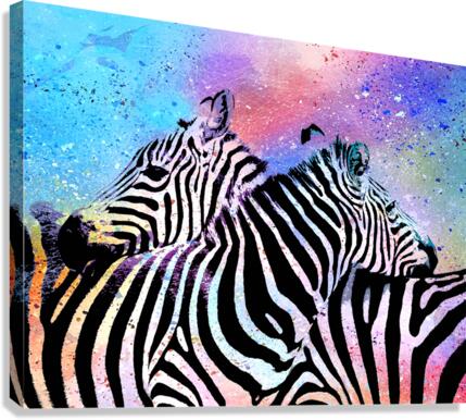 Zebras Canvas Print