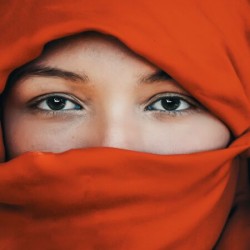 Red Nomad 