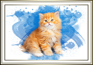 Cute Cat