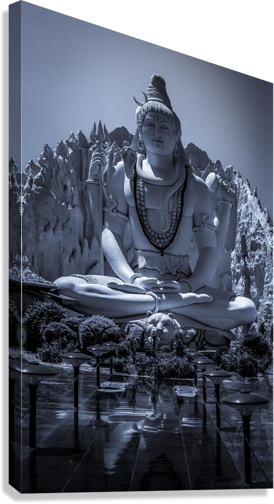 SHIVA Canvas Print