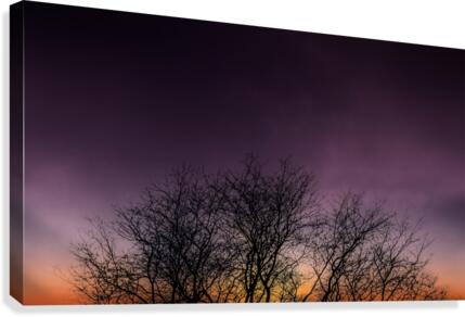 Sunset Silhouette Canvas Print