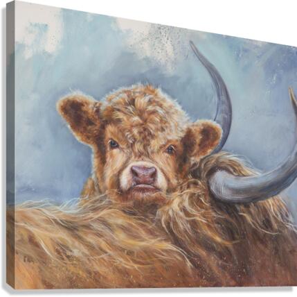 Solace Canvas Print