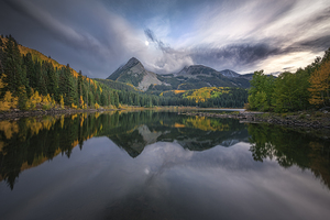 Whispers of the Wild