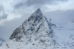 Norwegian Mountain Top 