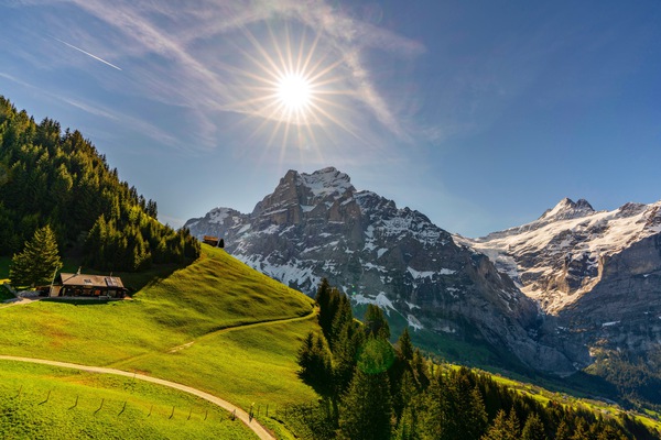 Grindelwald Slopes Print