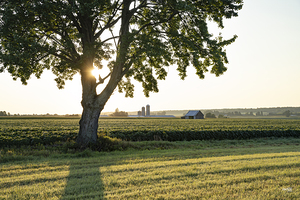 Fermiers artistes de la Terre