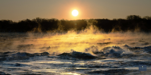 Le debut de la vie V2