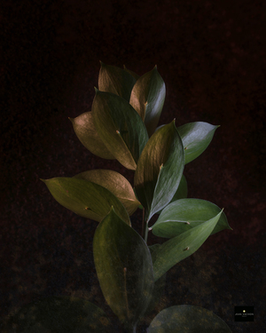 A Vous Pour Toujours