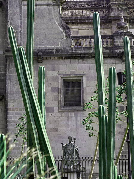 La Cathedrale Metropolitaine de Mexico Print