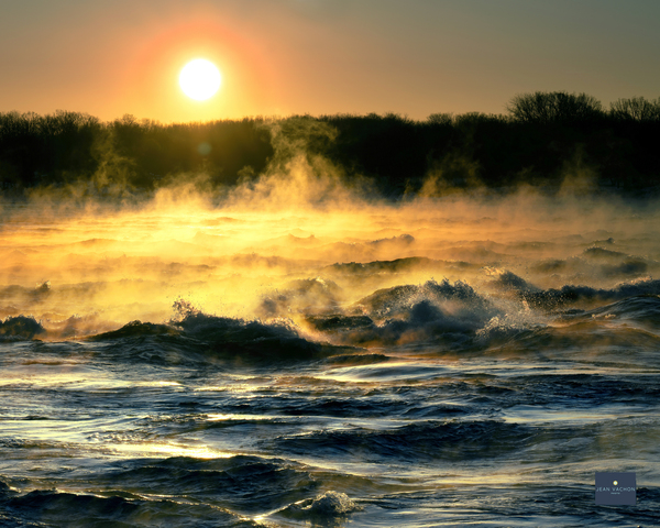 Le debut de la vie Print