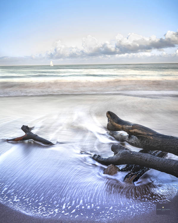 L Ocean irresistible Print