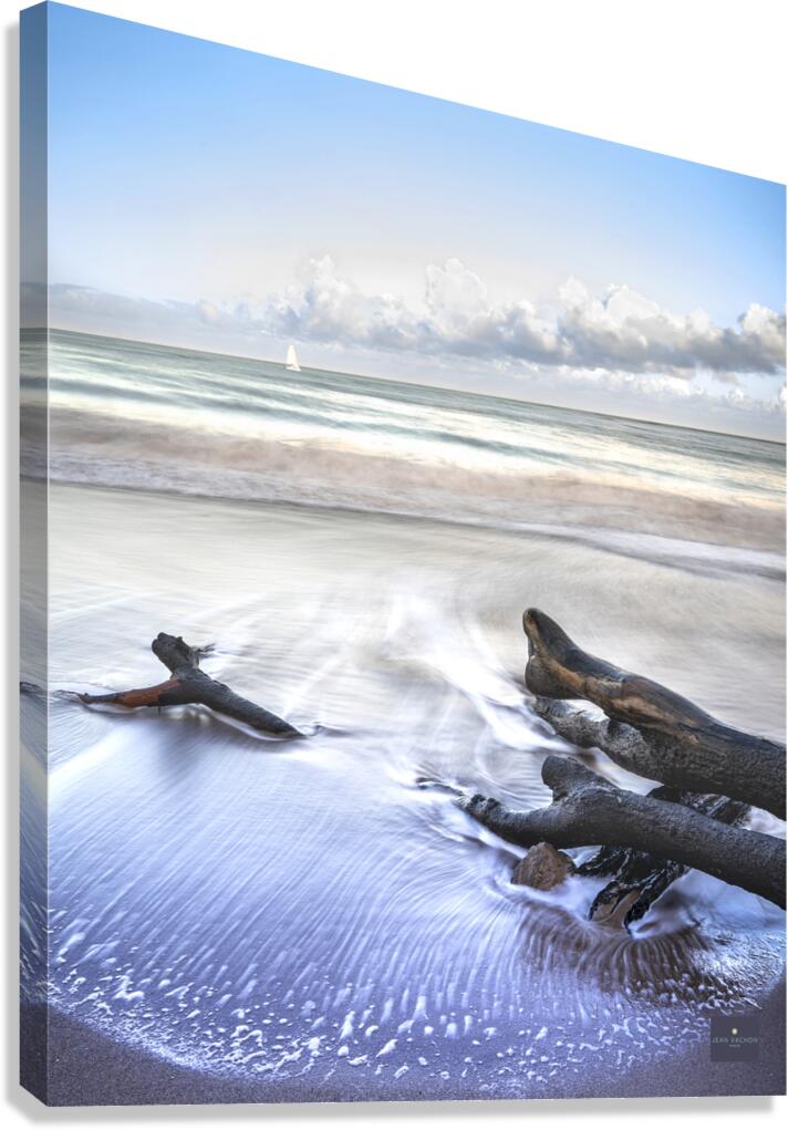 L Ocean irresistible Canvas Print