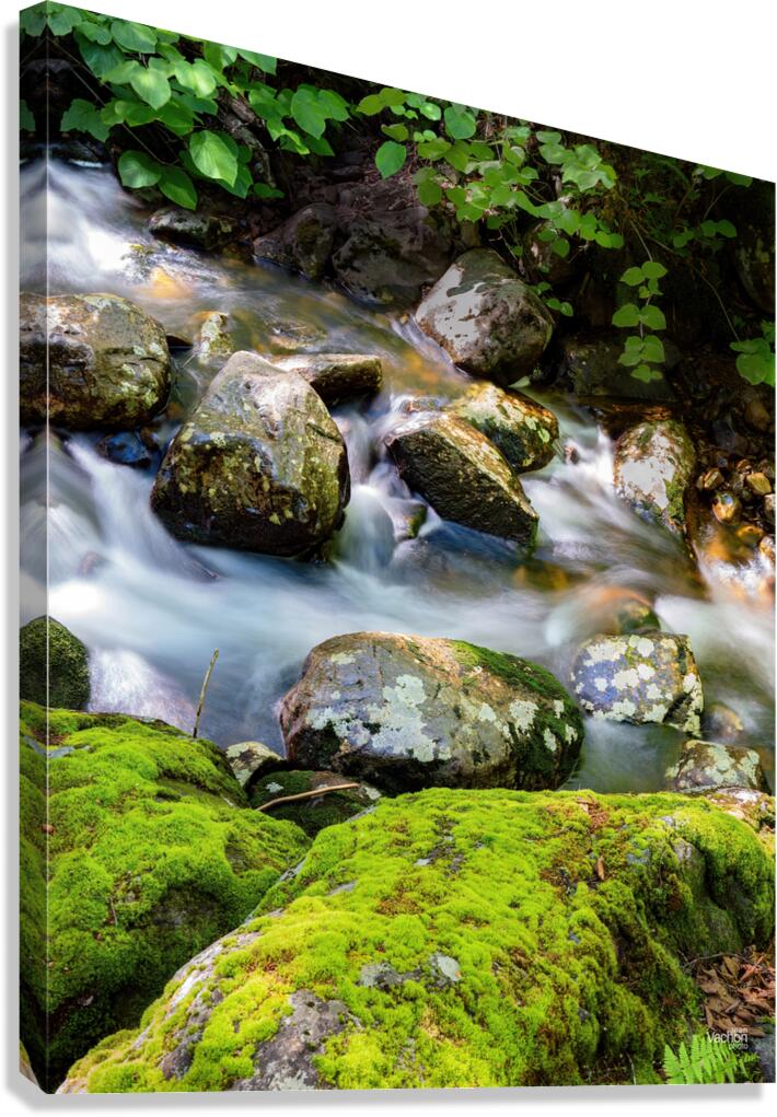 Le murmure de leau Canvas Print
