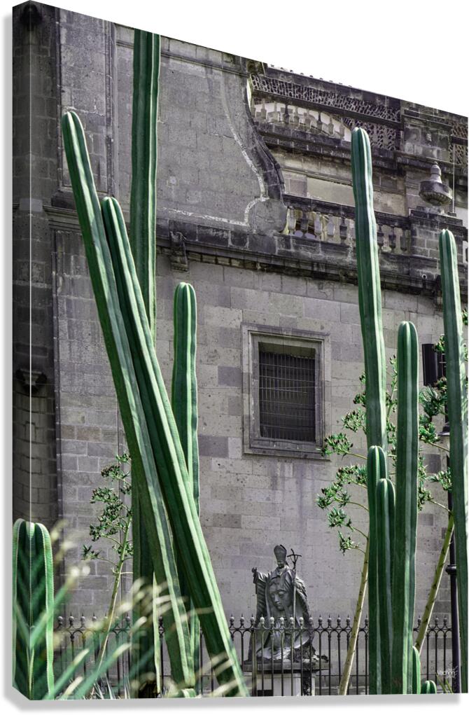 La Cathedrale Metropolitaine de Mexico Canvas Print
