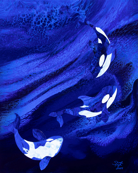Orca Whales by StudioSherylPryor