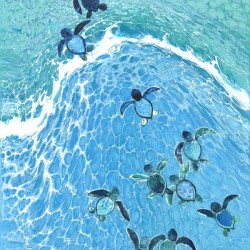 Baby Sea Turtles