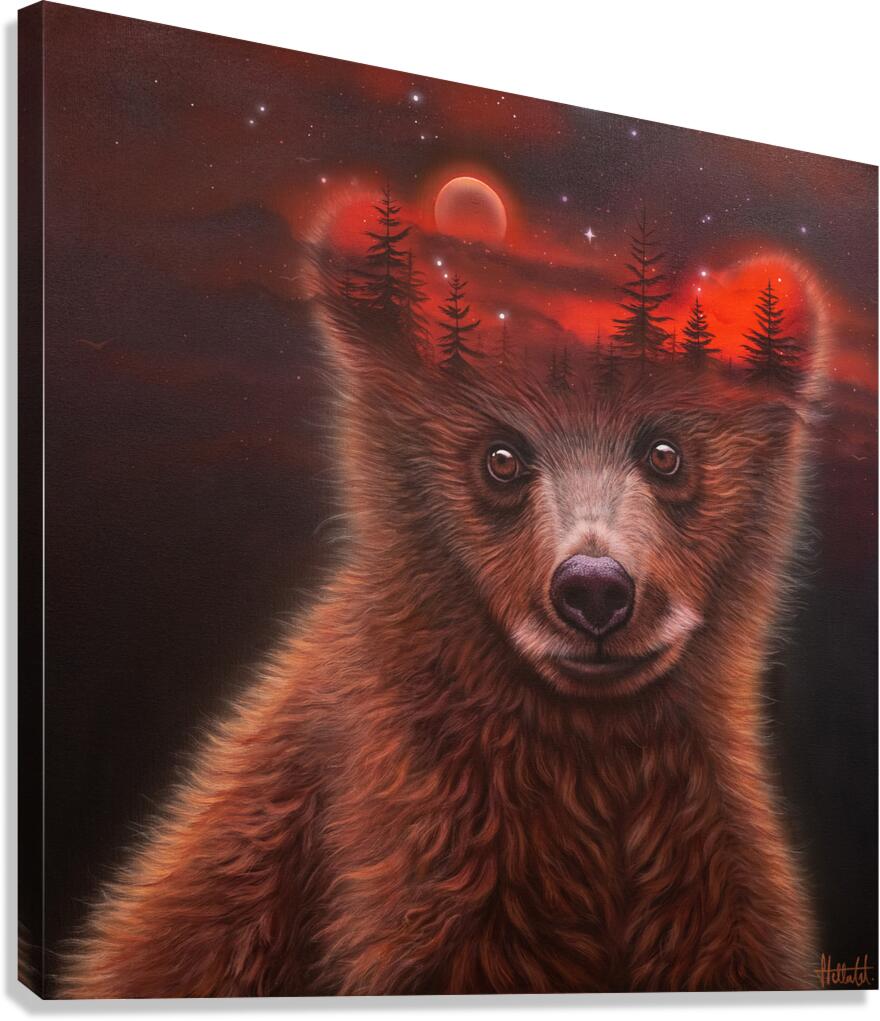 Dreamer Canvas Print
