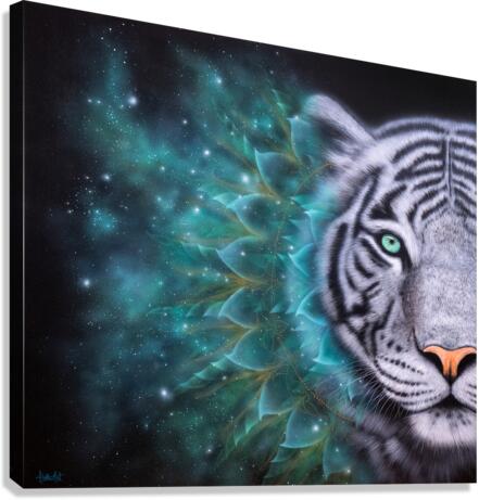 Expansion Canvas Print