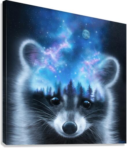 Inner space Canvas Print