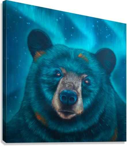 Grande Ourse  Canvas Print