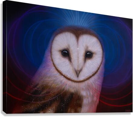Beyond vision Canvas Print