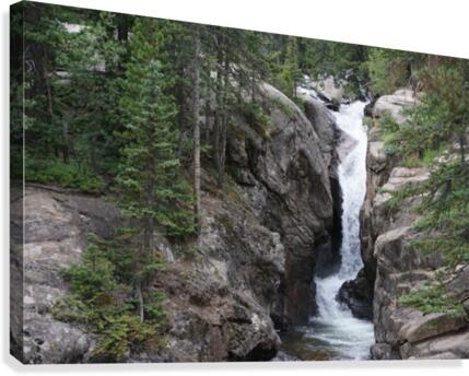Chasm Falls Canvas Print