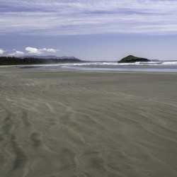 Tofino