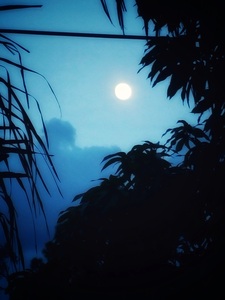 20180824 194931   Copy 02 Blue Mood