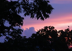 Sherbet Sky IMG 1285 02
