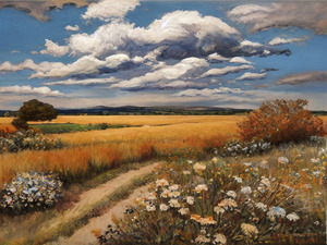 Countryside Landscape Wildflowers