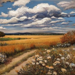 Countryside Landscape Wildflowers