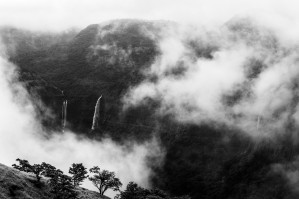 Monsoon Splendour in Western Ghats India