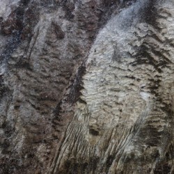 The mountain abstract