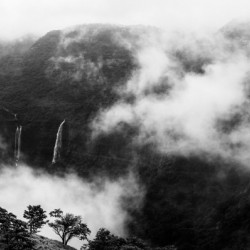 Monsoon Splendour in Western Ghats India