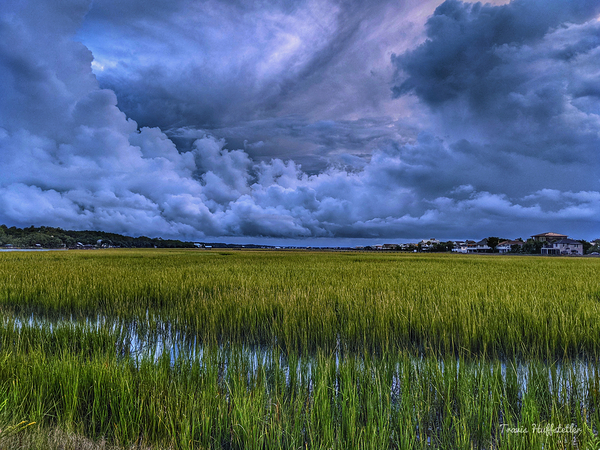 IMG 6396 by Travis Huffstetler Photography