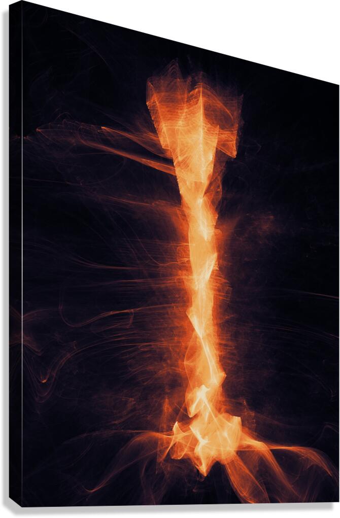 Impasto Canvas Print