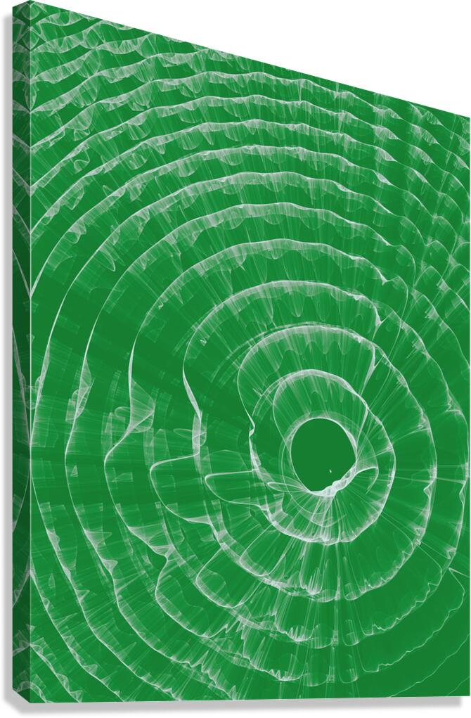 Labyrinths Canvas Print