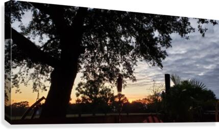 TexasSkies Canvas Print